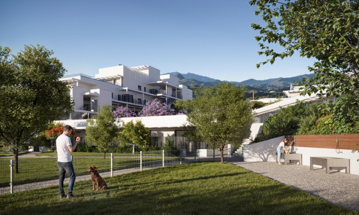 Apartament - Nowe budownictwo -  - NBS-53356