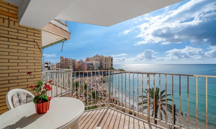 Apartament - Rynek Wtórny - Torrevieja - Torrevieja