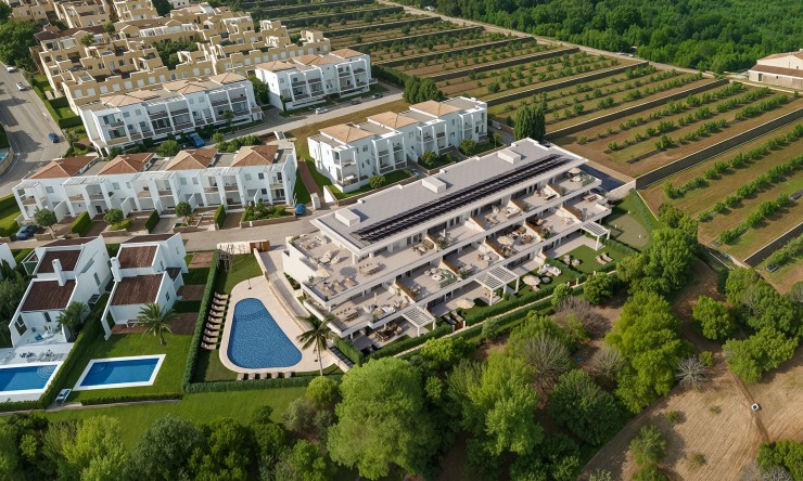 Apartamento - Nueva construcción  - Pedreguer - Pedreguer