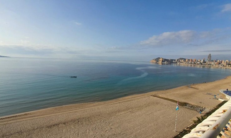 Apartamento - Reventa - Benidorm - Benidorm