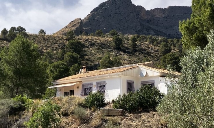 Apartamento - Reventa - Orxeta - Orcheta