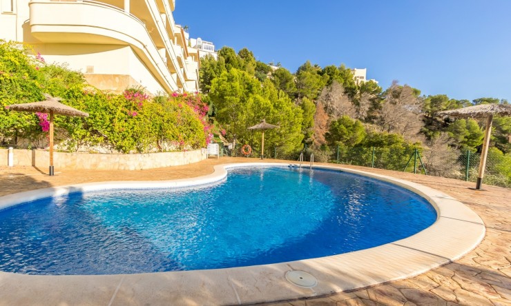 Apartment - Resale - Altea - Altea