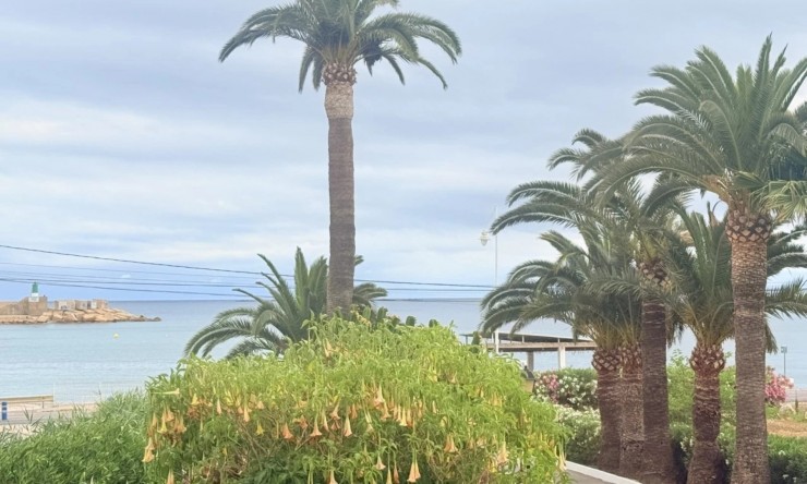 Apartment - Resale - Altea - Altea