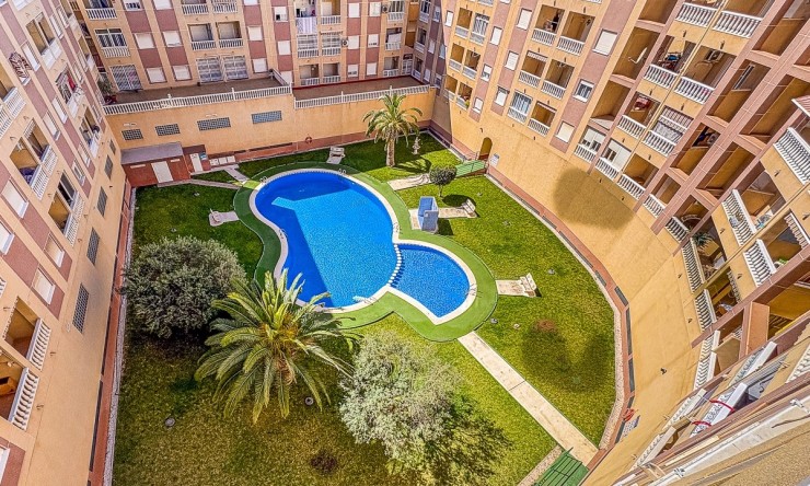 Apartment - Resale - TORREVIEJA - Parque de las Naciones