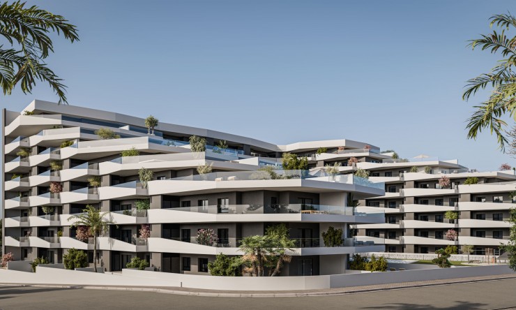 Appartement - Nouvelle construction - San Miguel de Salinas - San Miguel de Salinas