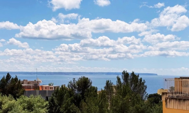 Appartement - Revente - PALMA - Sant Agustí