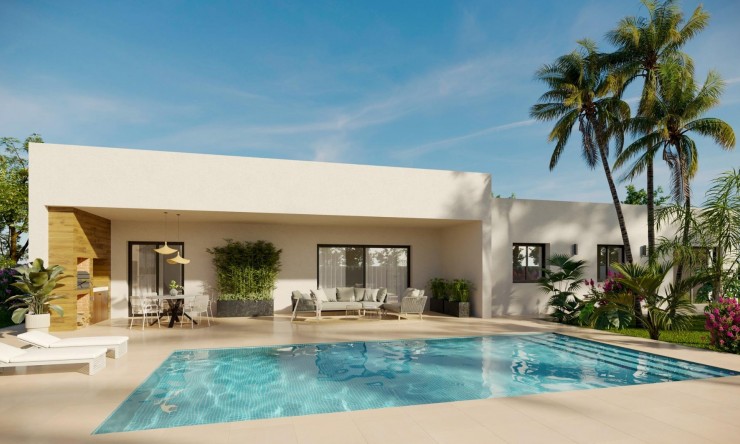 detached - New Build - Aspe - Aspe