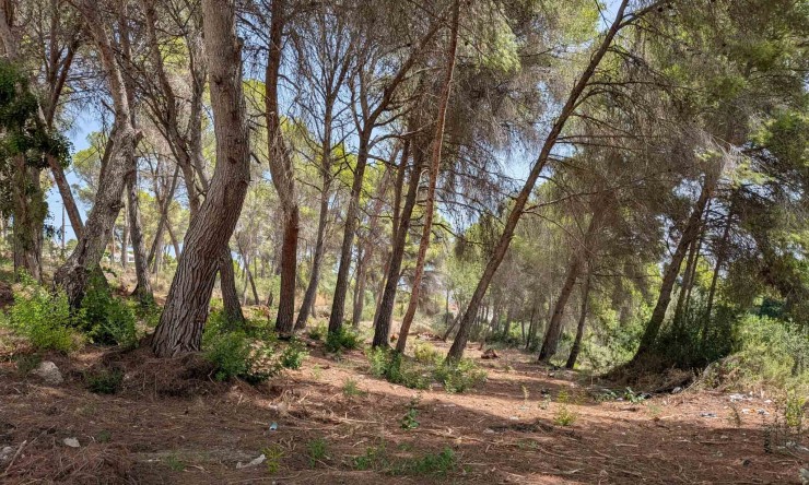 Działka - Rynek Wtórny - Moraira - Pinar del Advocat
