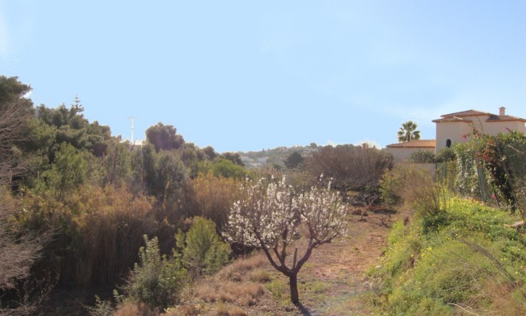 Grundstücke - Wiederverkauf - Benissa -
                La Fustera