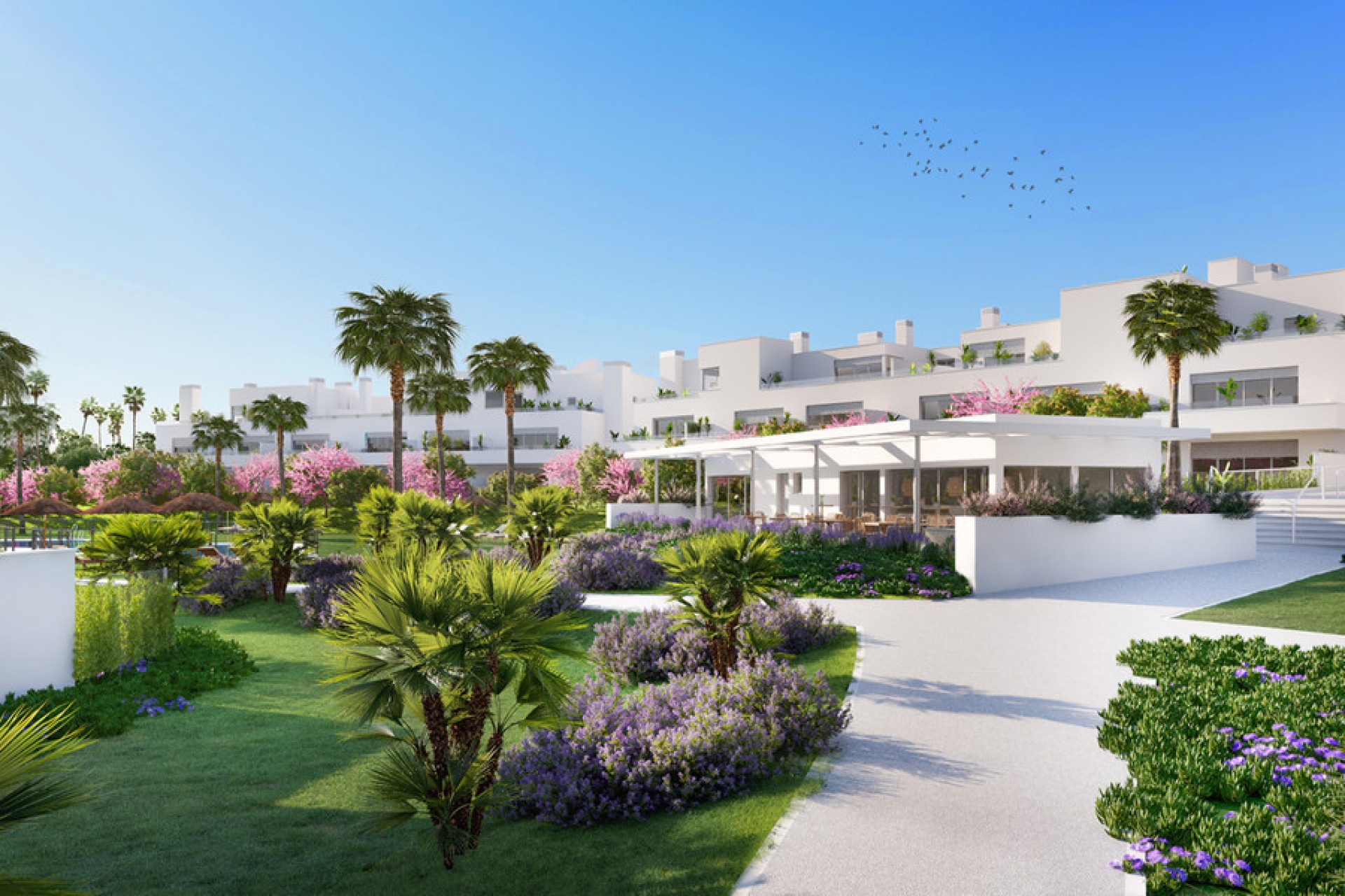 Herverkoop - Appartement -
Estepona