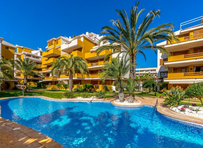 Herverkoop - Appartement -
Torrevieja