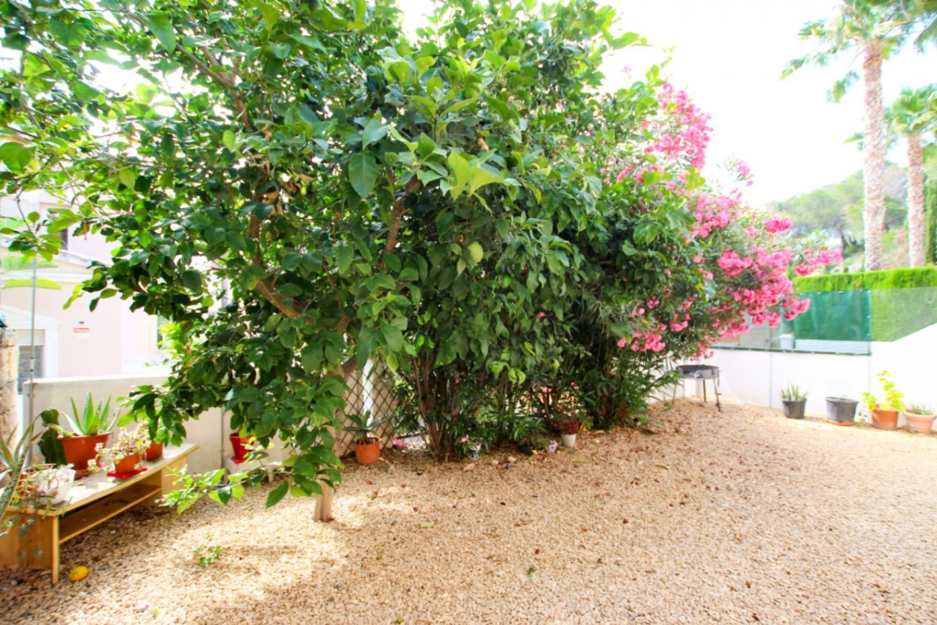 Herverkoop - Bungalow -
Calpe - La Cometa III
