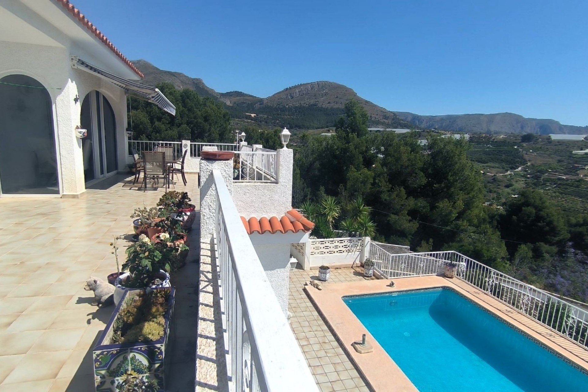 Herverkoop -  -
Callosa De Ensarrià