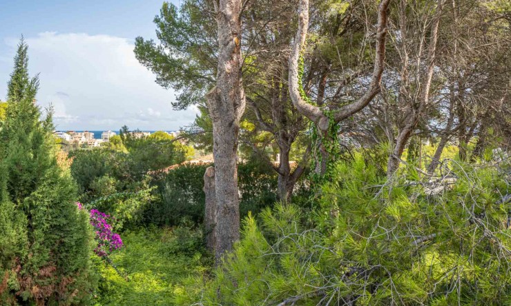  - Herverkoop - Jávea - Adsubia