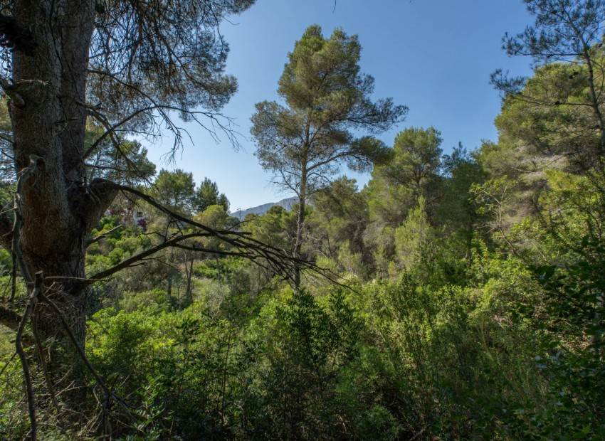 Herverkoop -  -
Jávea - Rafalet