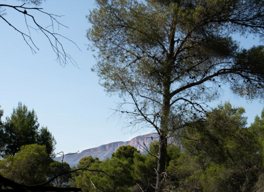 Herverkoop -  -
Jávea - Rafalet