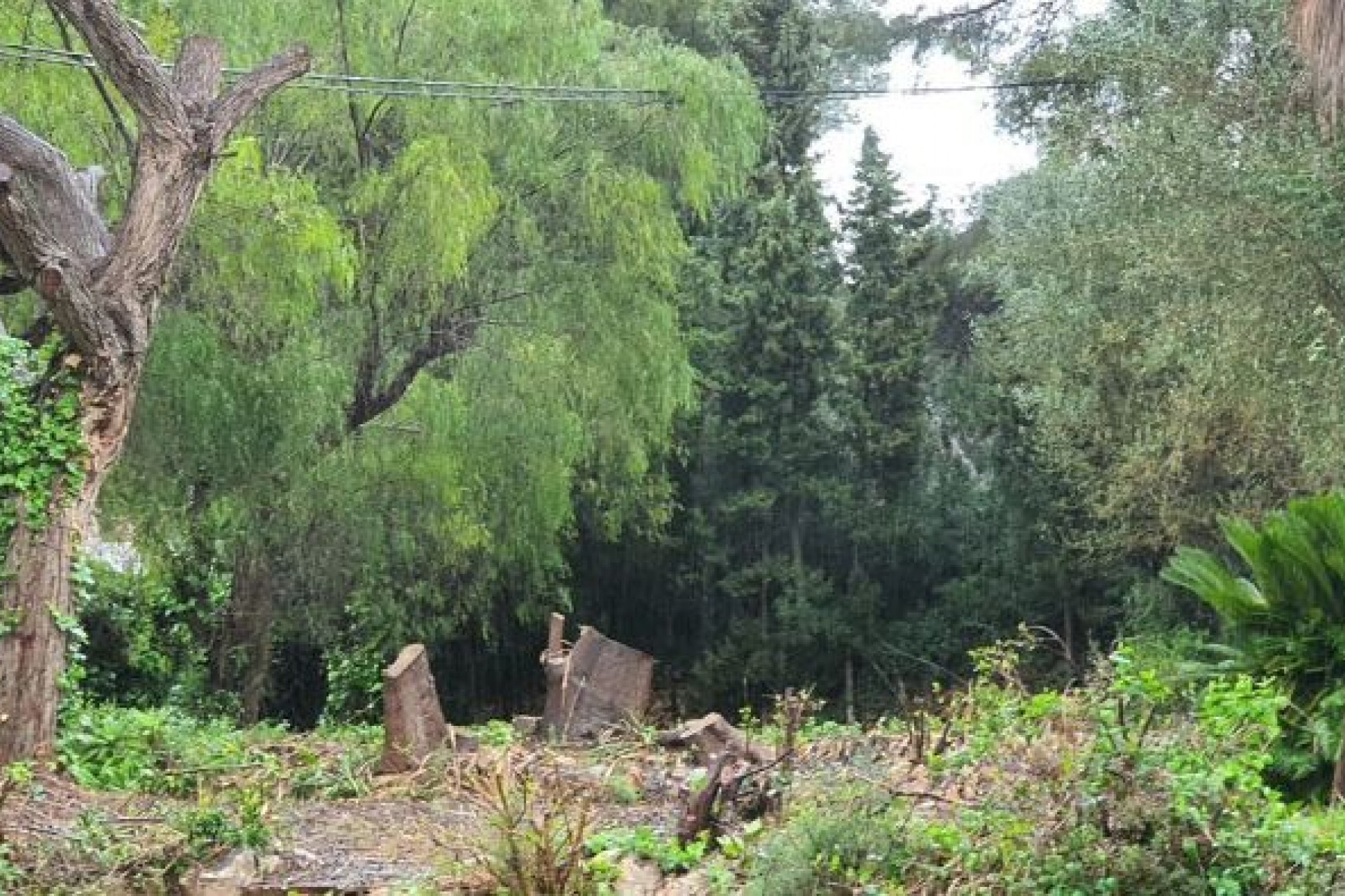 Herverkoop -  -
Jávea / Xàbia - Cap Martí - El Tossalet - Pinomar