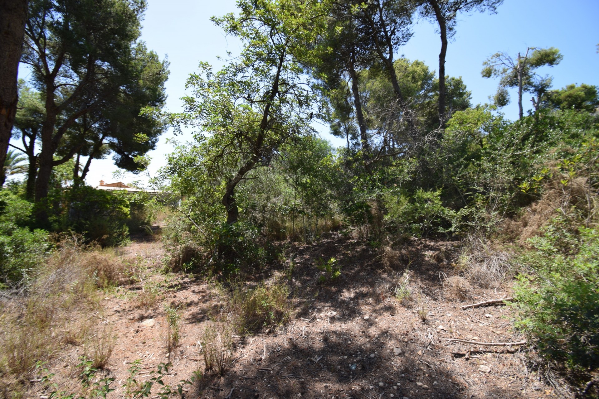 Herverkoop -  -
Jávea / Xàbia - Partides comunes - Adsubia