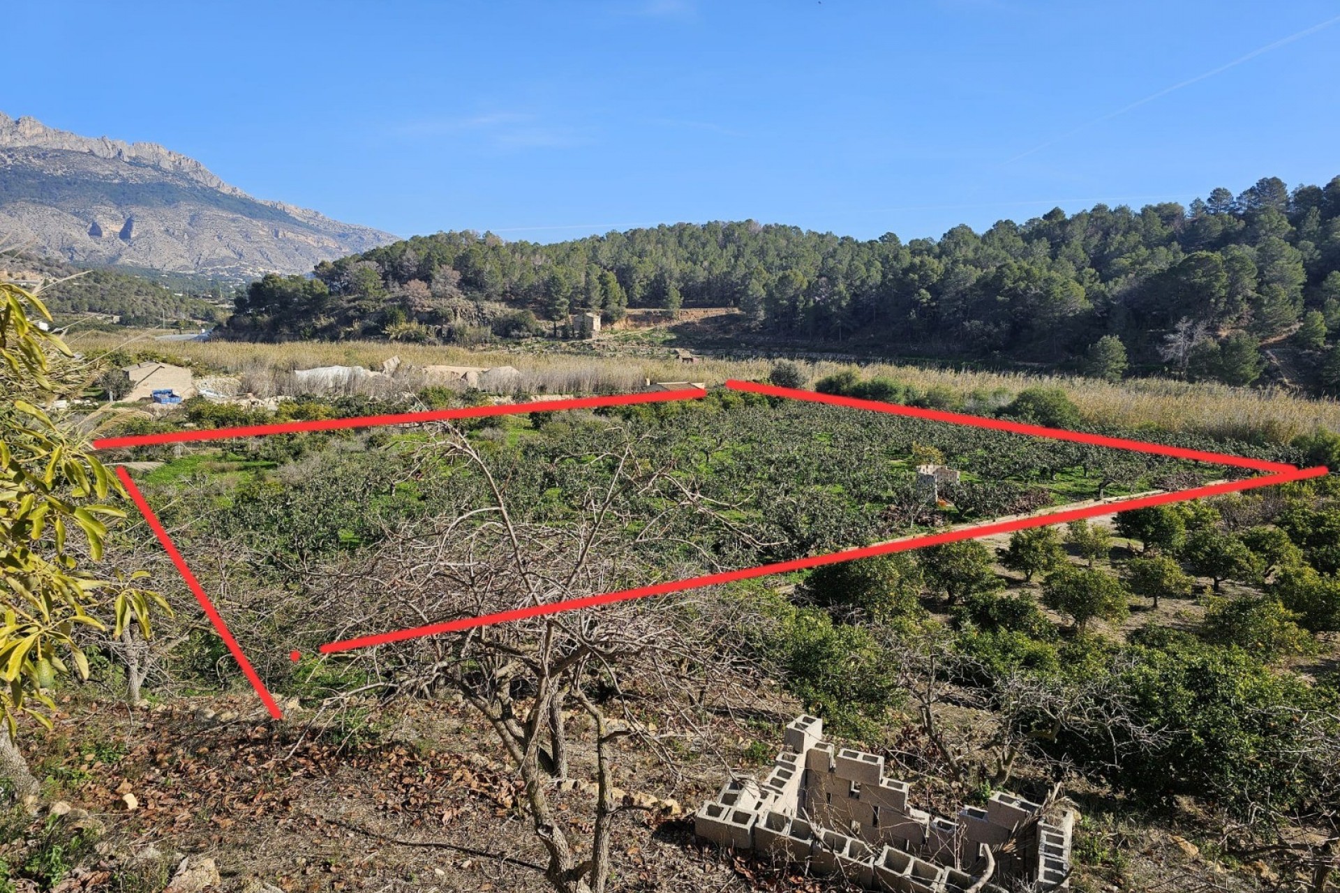 Herverkoop - Landhuis -
Callosa De Ensarrià