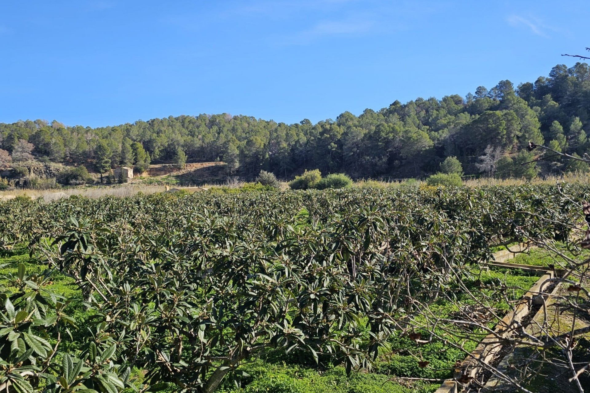 Herverkoop - Landhuis -
Callosa De Ensarrià