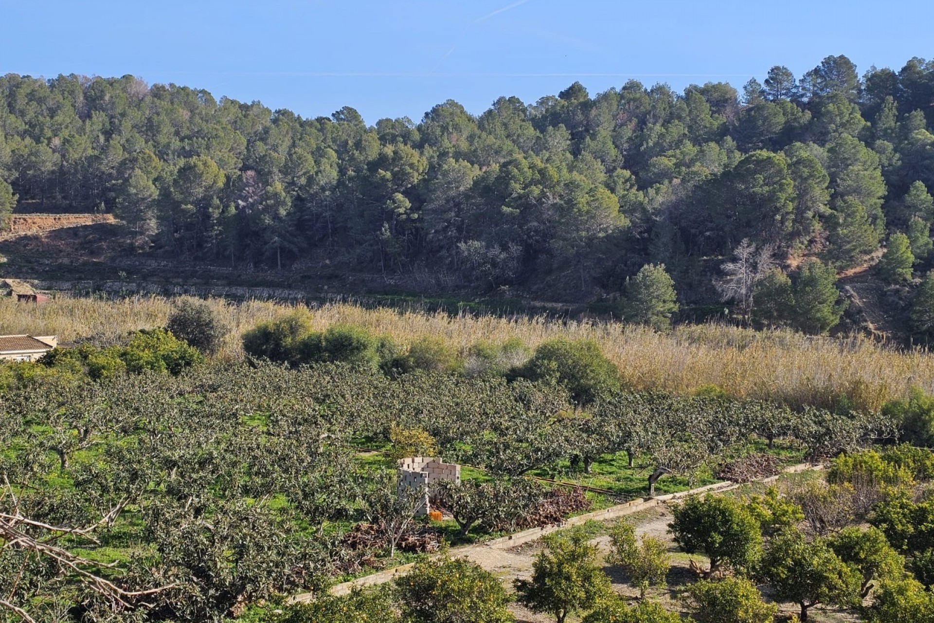 Herverkoop - Landhuis -
Callosa De Ensarrià