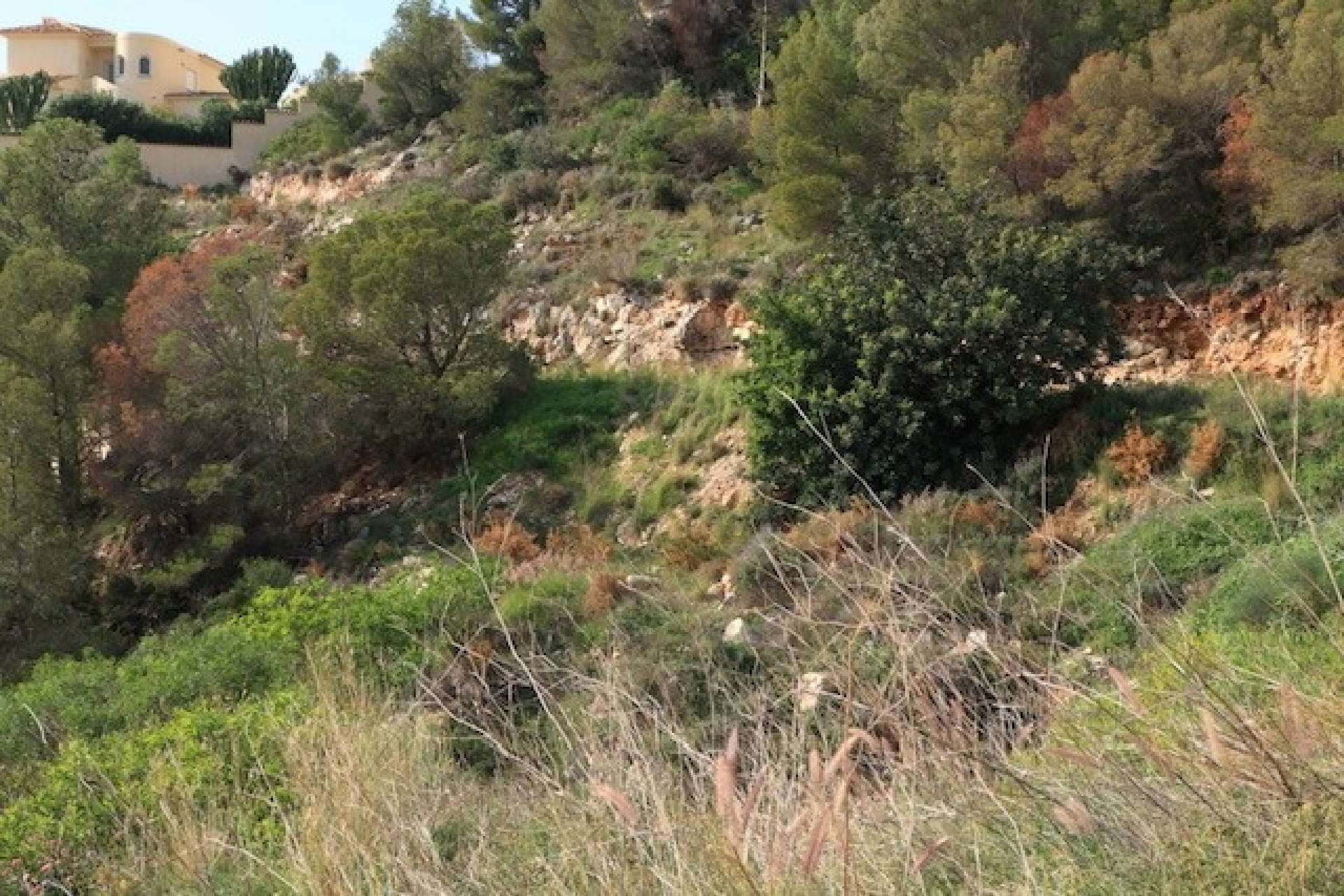 Herverkoop - Plot -
Altea - Altea La Vella