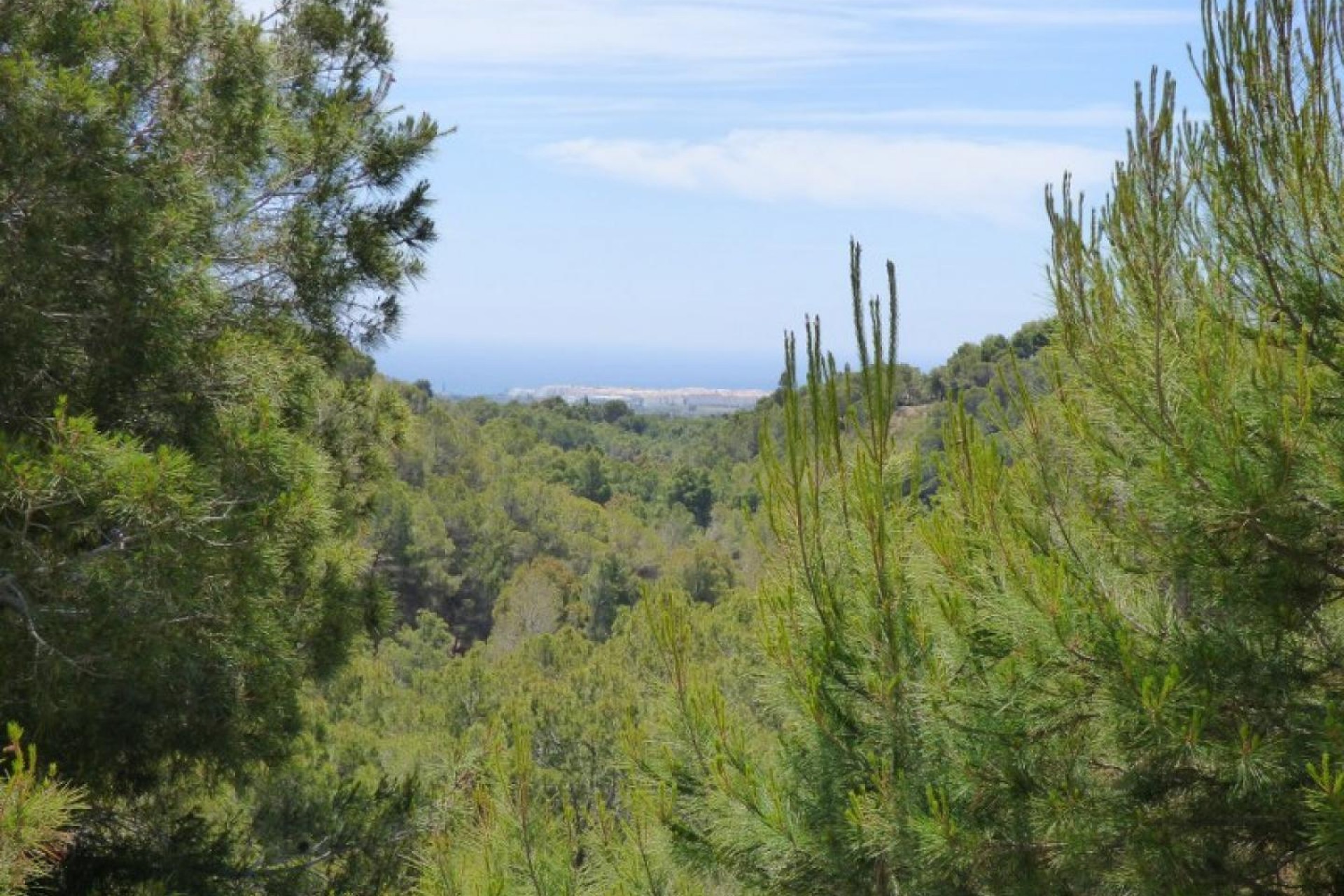 Herverkoop - Plot -
Altea la Vella