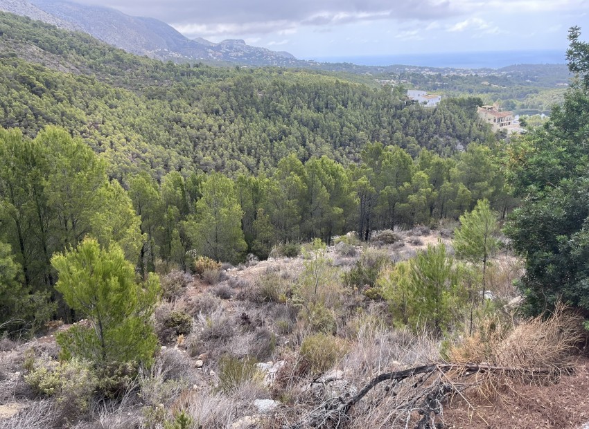 Herverkoop - Plot -
Altea