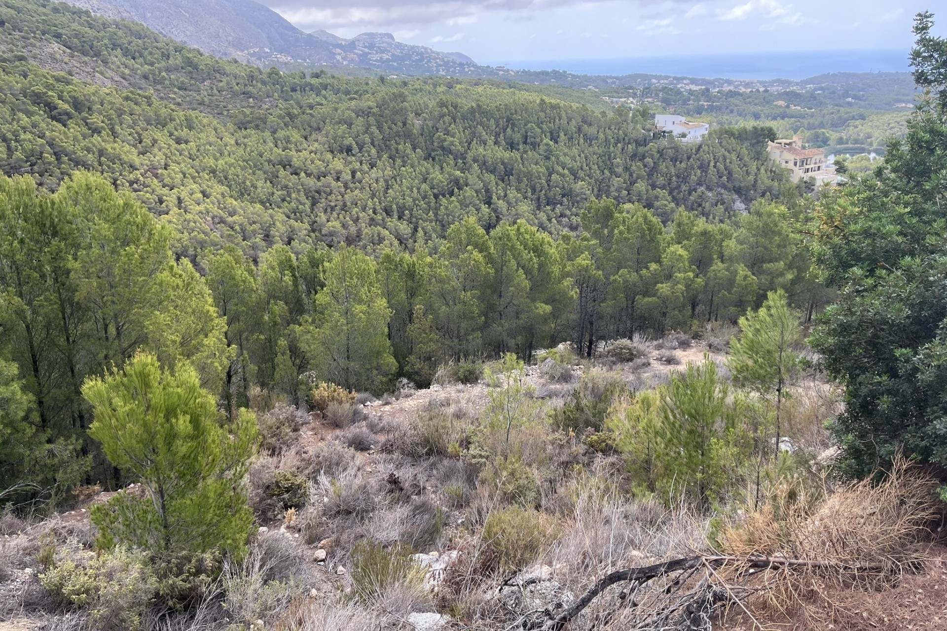 Herverkoop - Plot -
Altea