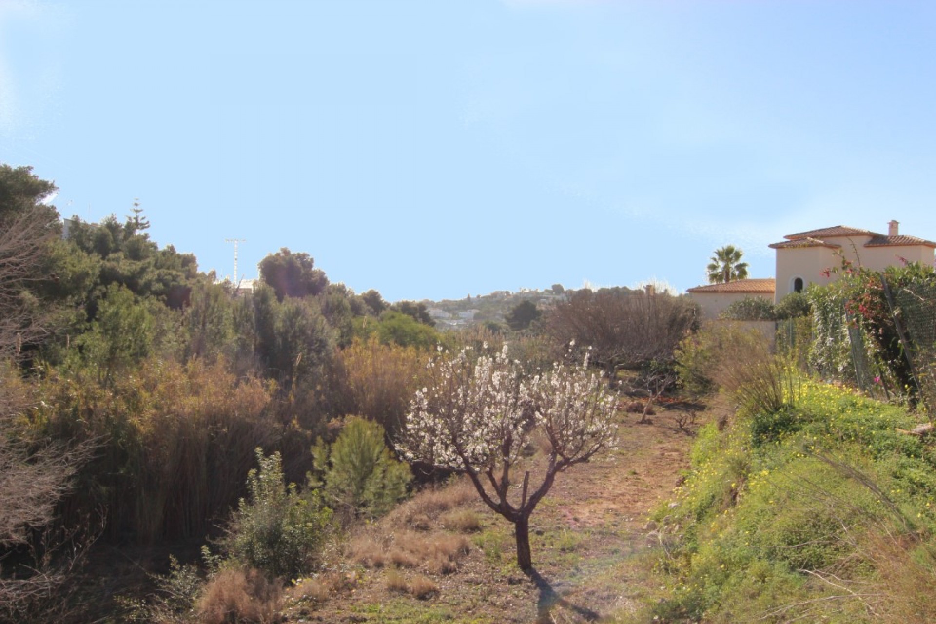 Herverkoop - Plot -
Benissa - La Fustera