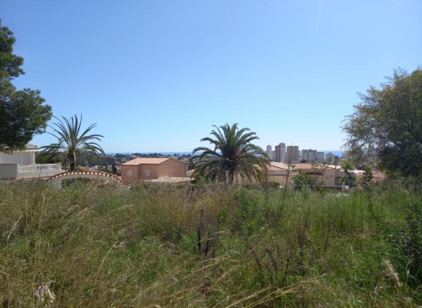 Herverkoop - Plot -
Calpe - Ortenbach