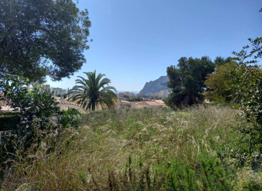 Herverkoop - Plot -
Calpe - Ortenbach