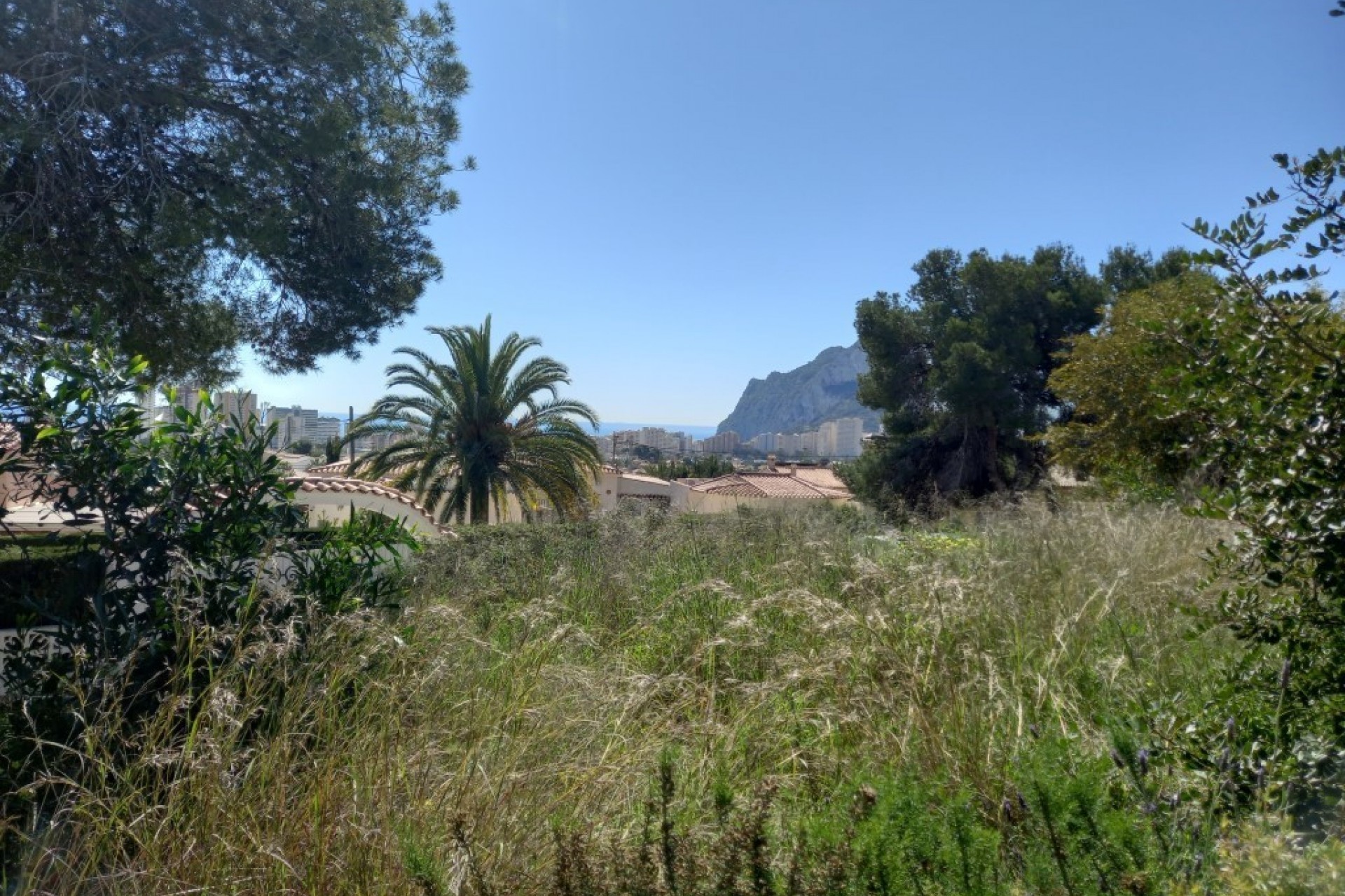 Herverkoop - Plot -
Calpe - Ortenbach