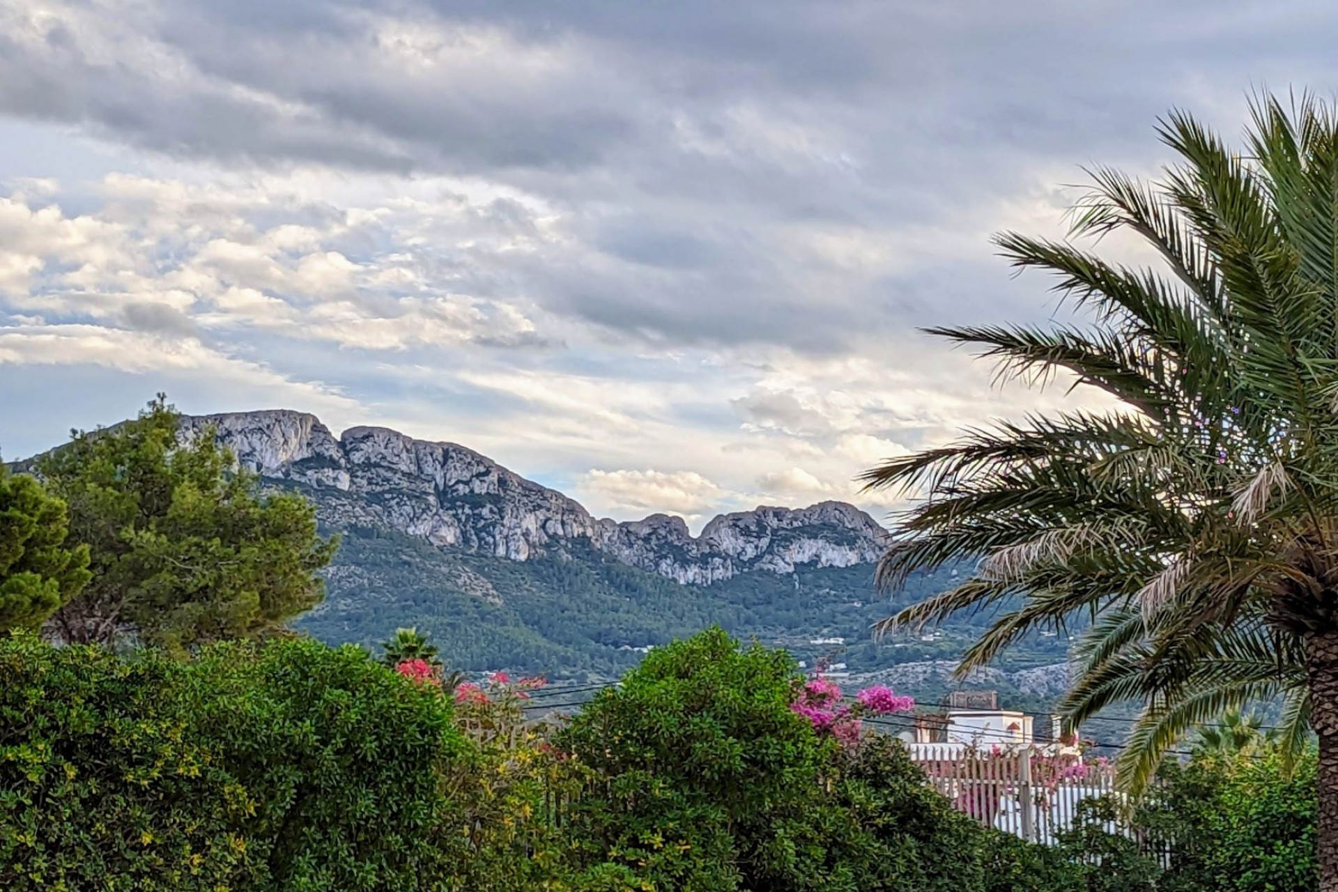 Herverkoop - Plot -
Denia - Deveses