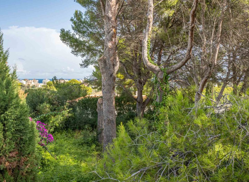 Herverkoop - Plot -
Jávea - Adsubia