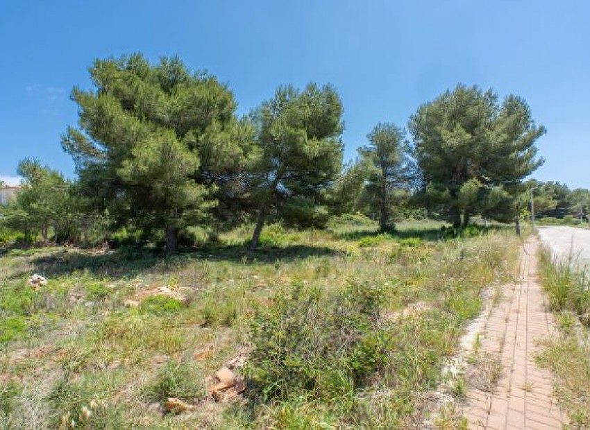 Herverkoop - Plot -
Jávea - Costa Nova