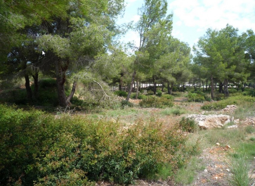 Herverkoop - Plot -
Jávea - La Cala