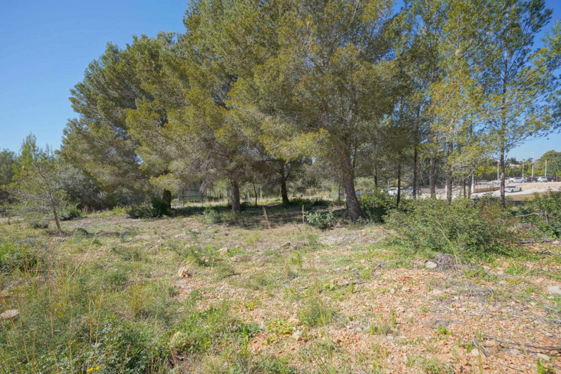 Herverkoop - Plot -
Jávea - Montgo