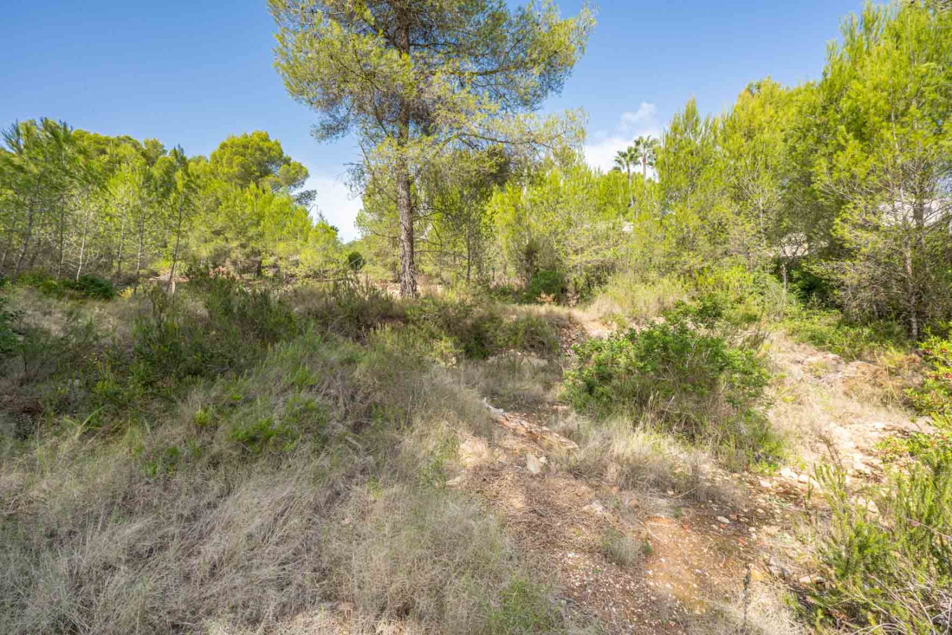 Herverkoop - Plot -
Jávea - Pinosol