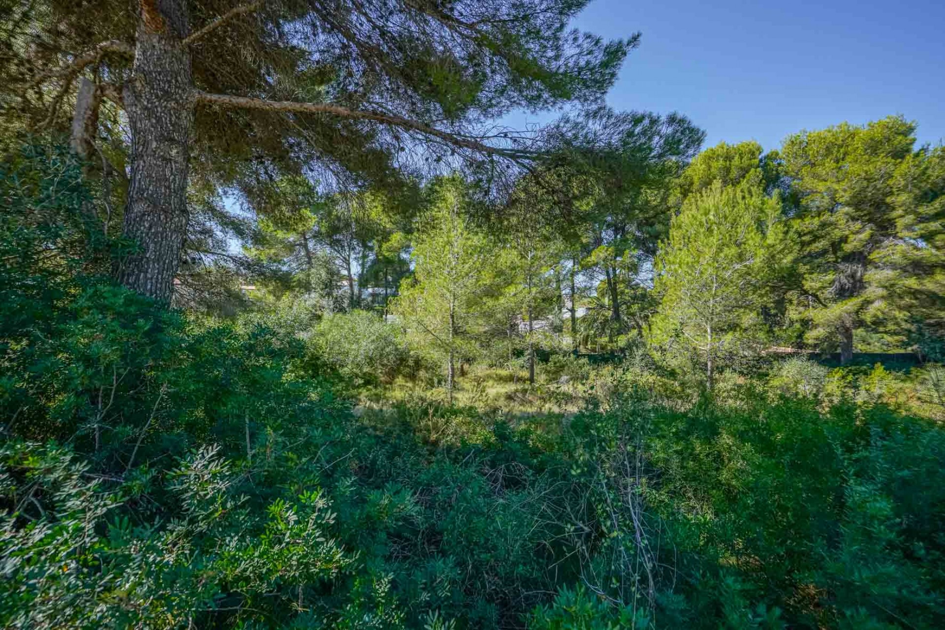 Herverkoop - Plot -
Jávea - Portichol