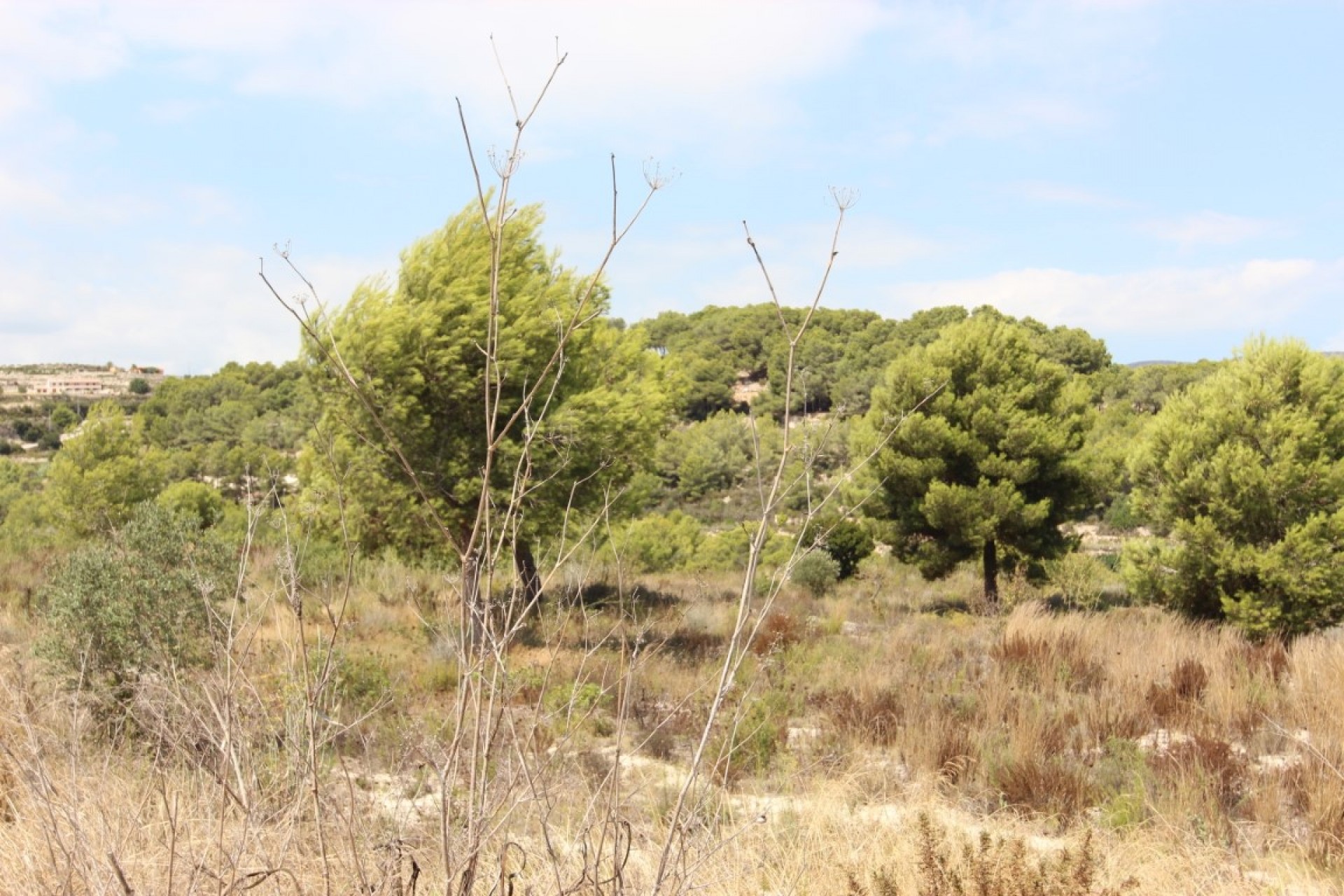 Herverkoop - Plot -
Moraira - Benimeit