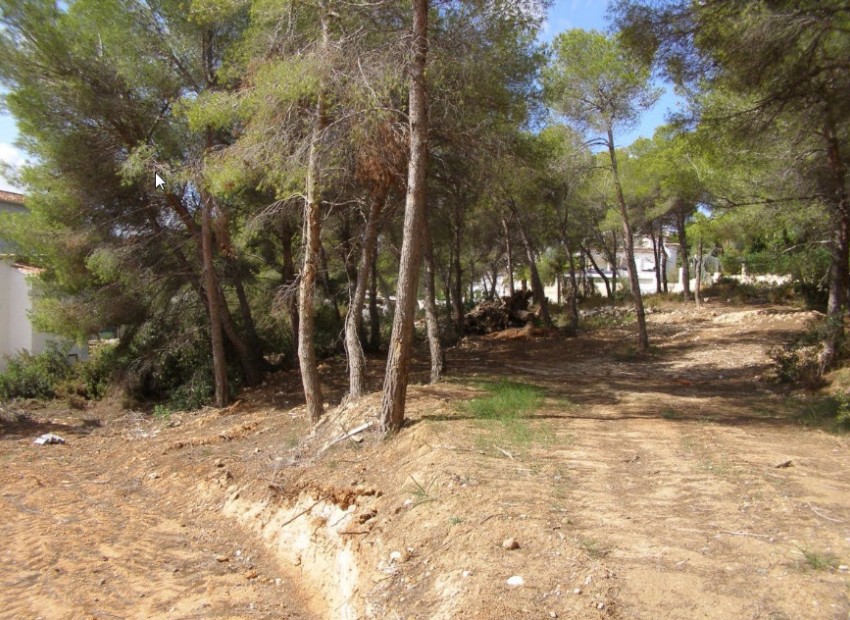 Herverkoop - Plot -
Moraira - Pinar de l’Advocat