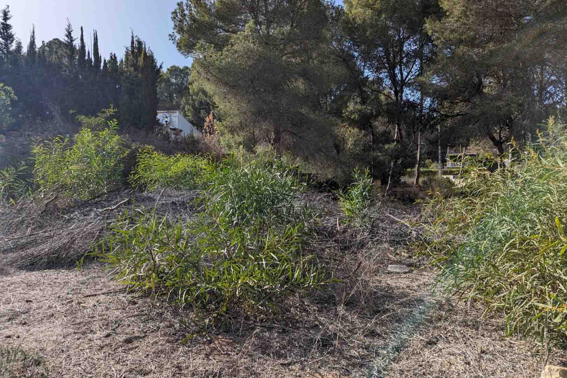 Herverkoop - Plot -
Moraira - Pinar del Advocat