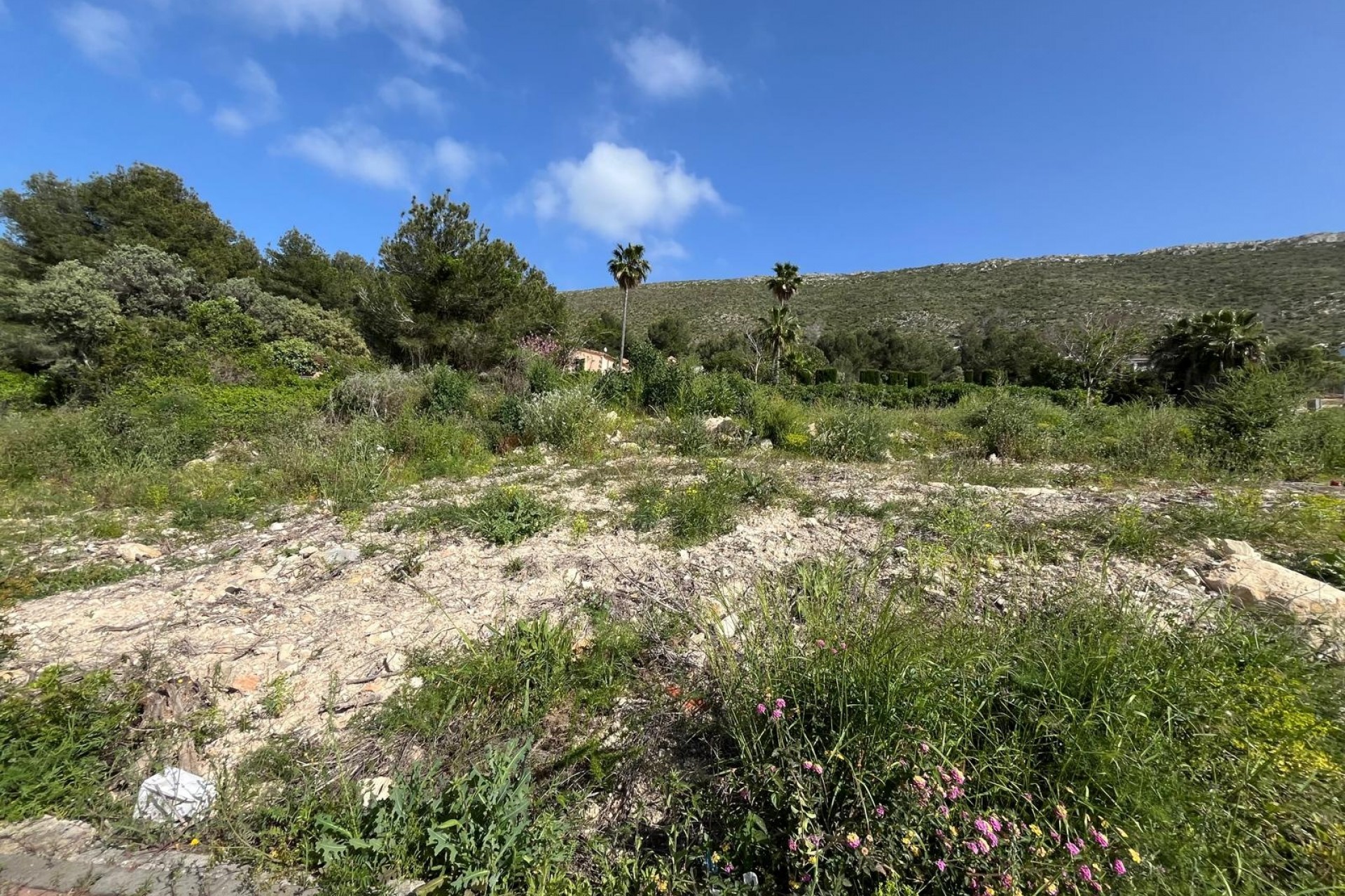 Herverkoop - Stedelijke bouwgrond -
Jávea / Xàbia - Cap Martí - El Tossalet - Pinomar