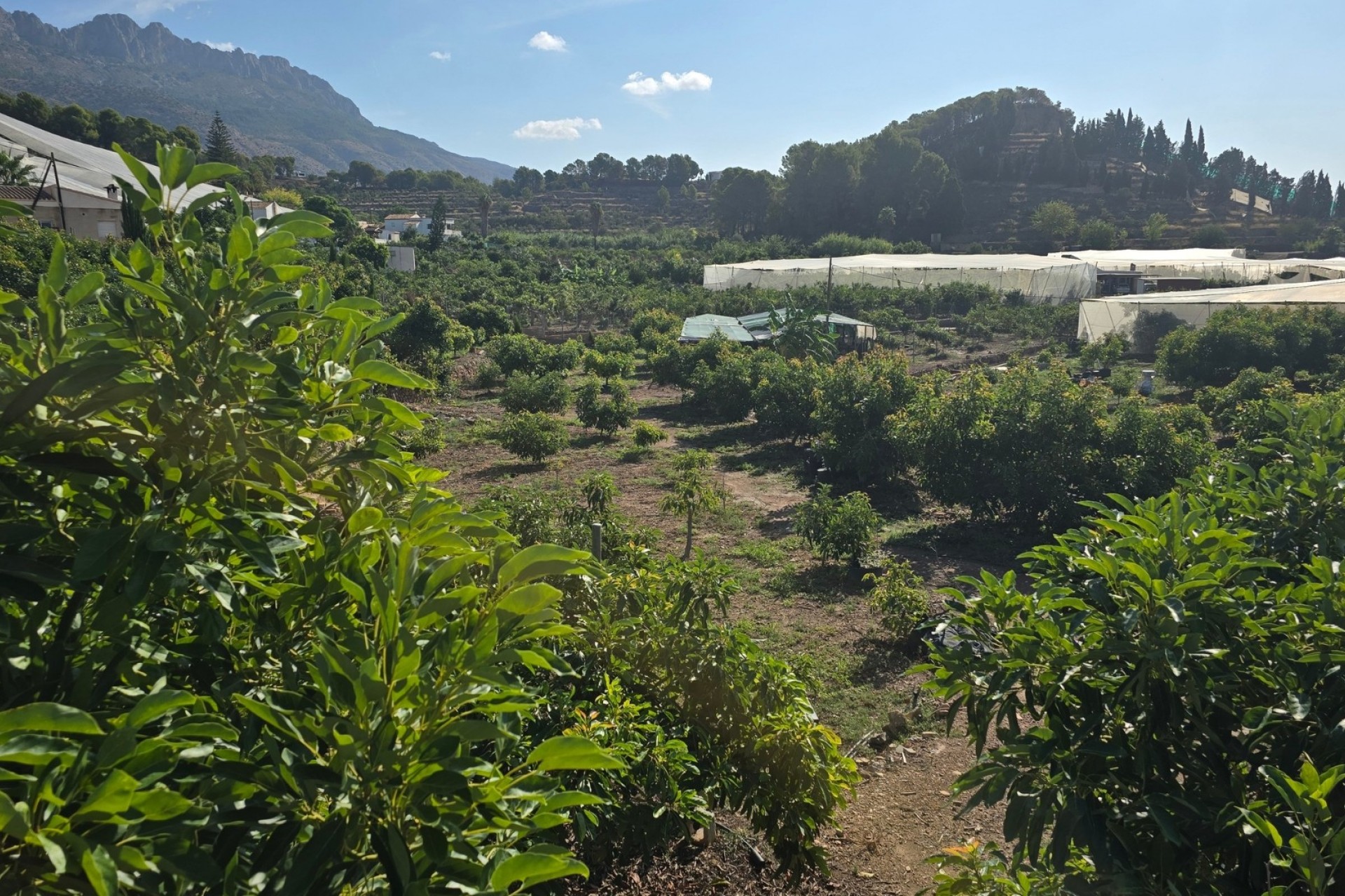 Herverkoop - Villa -
Altea - Altea La Vella