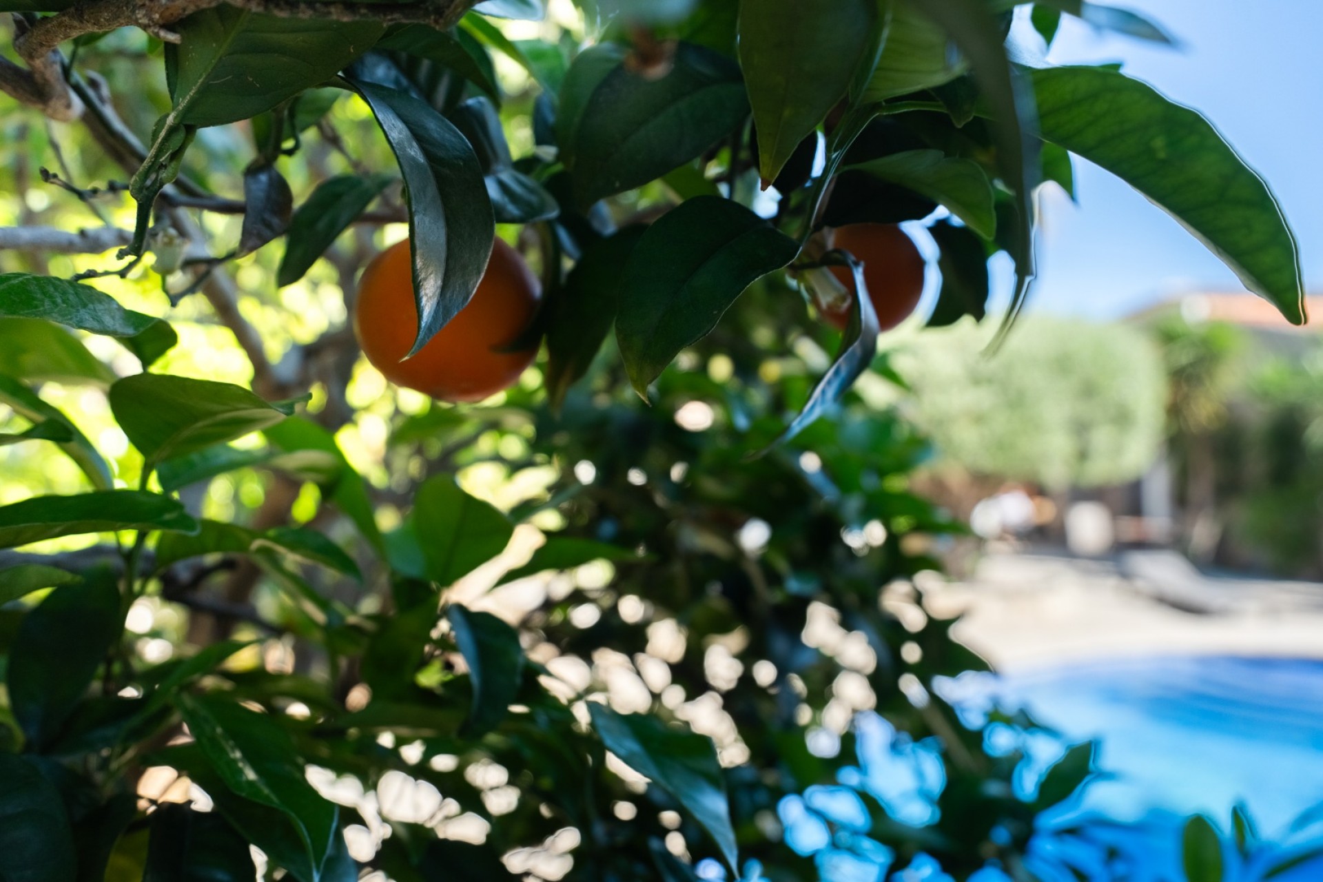 Herverkoop - Villa -
Jávea - Senioles