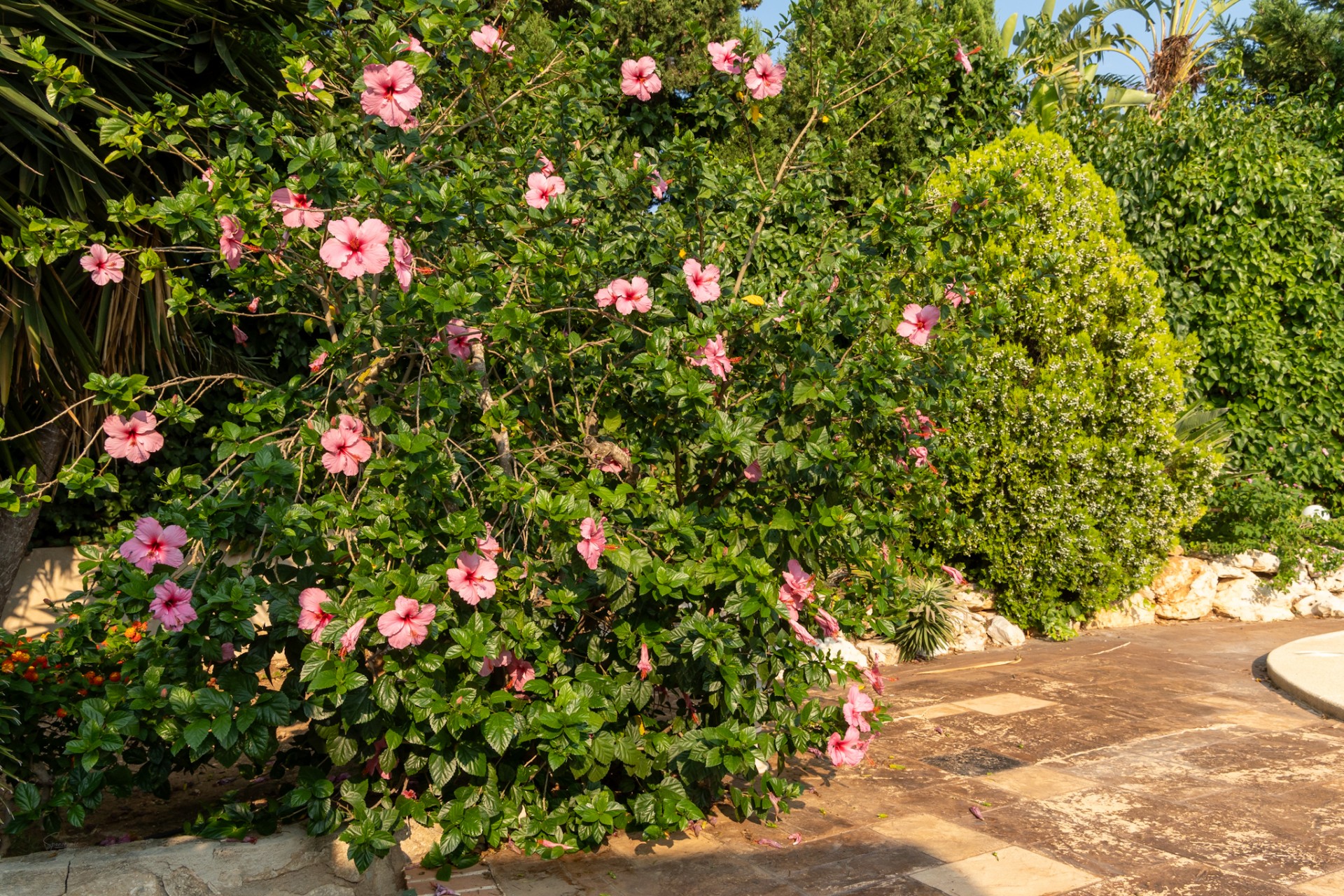 Herverkoop - Villa -
Jávea / Xàbia - Cap Martí - El Tossalet - Pinomar