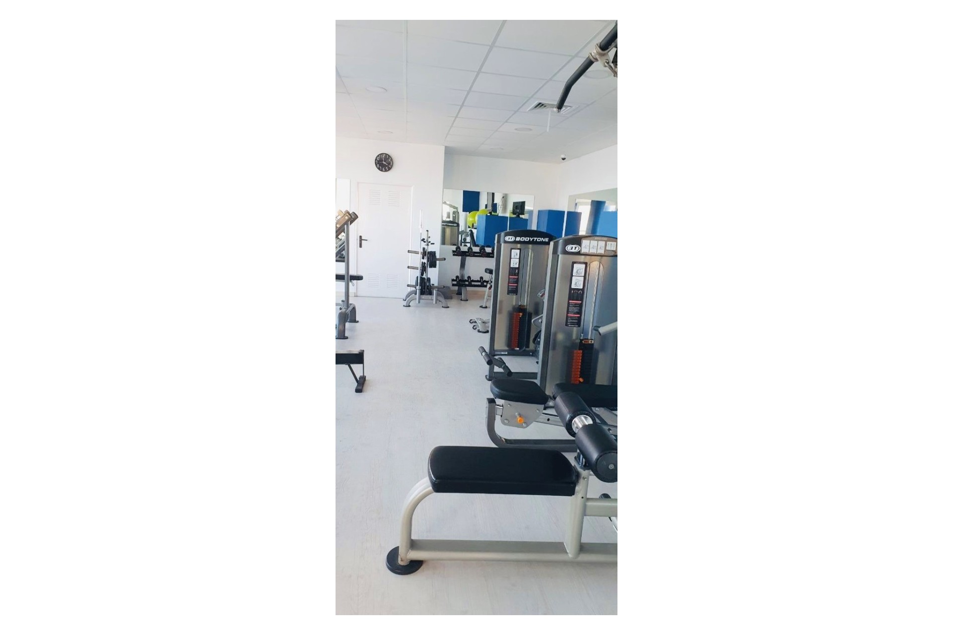 Langfristige Vermietung - Wohnung -
Altea