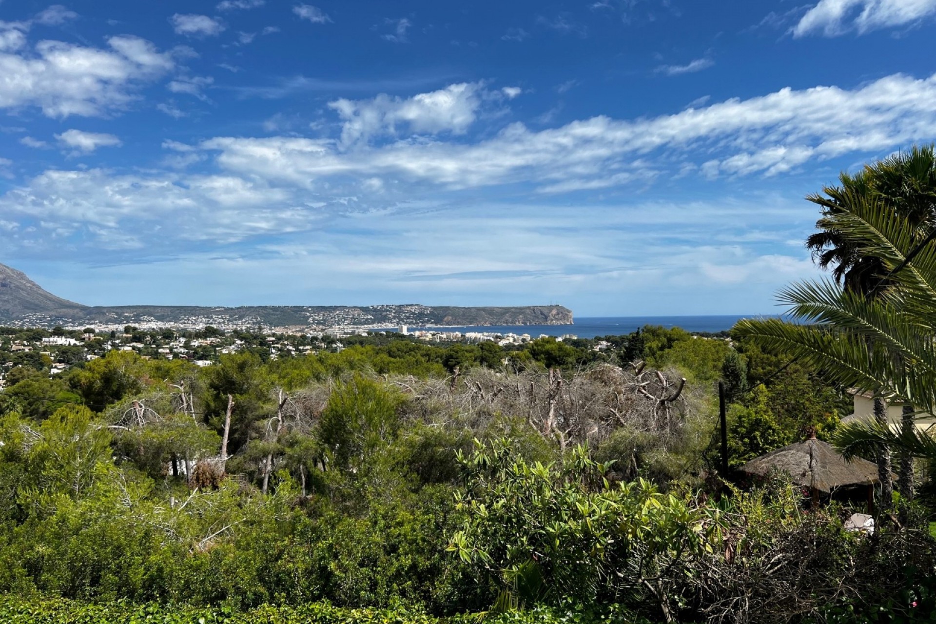 Location à court terme - Villa -
Jávea