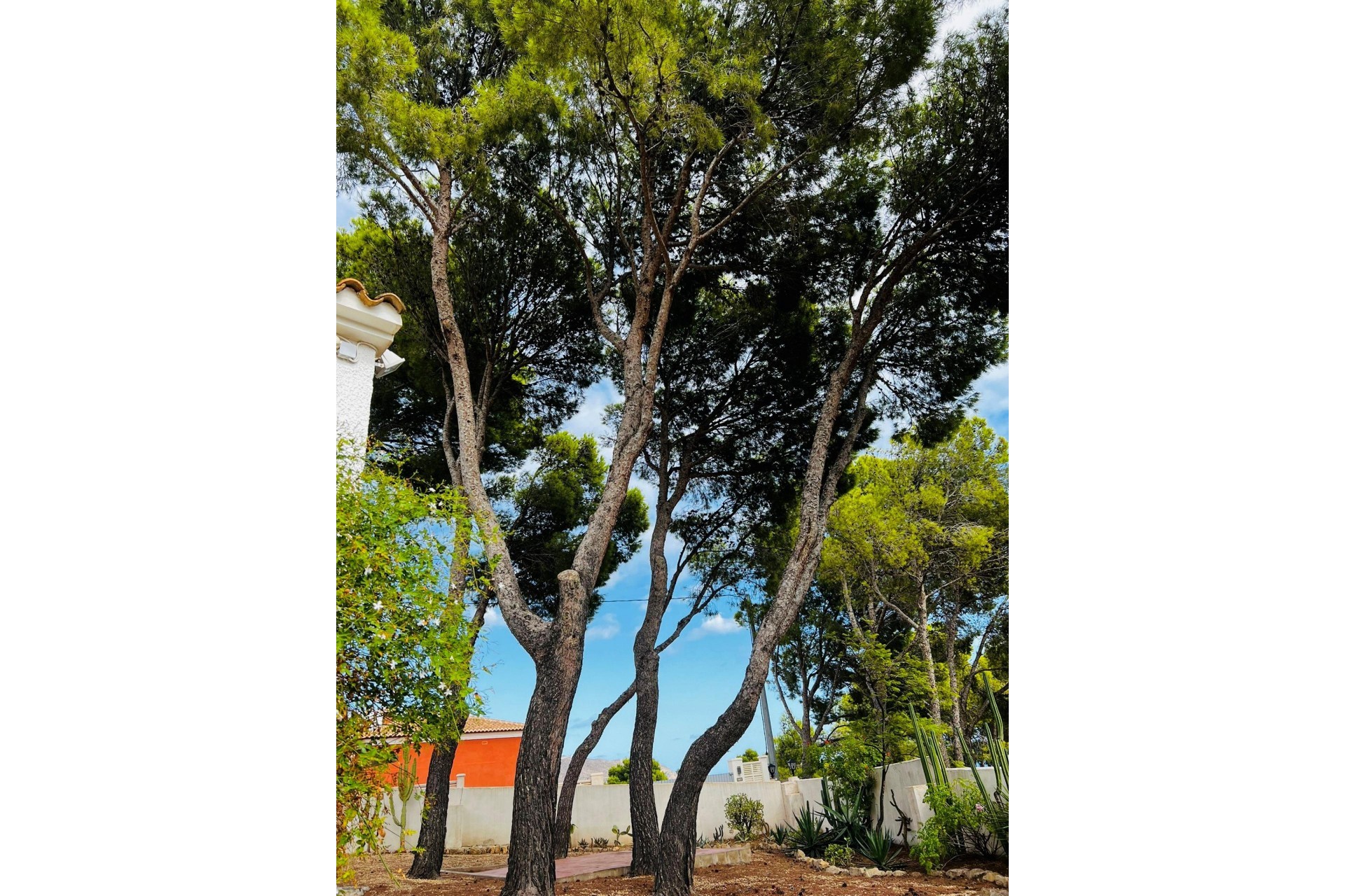 Long Term Rental - Villa -
Altea